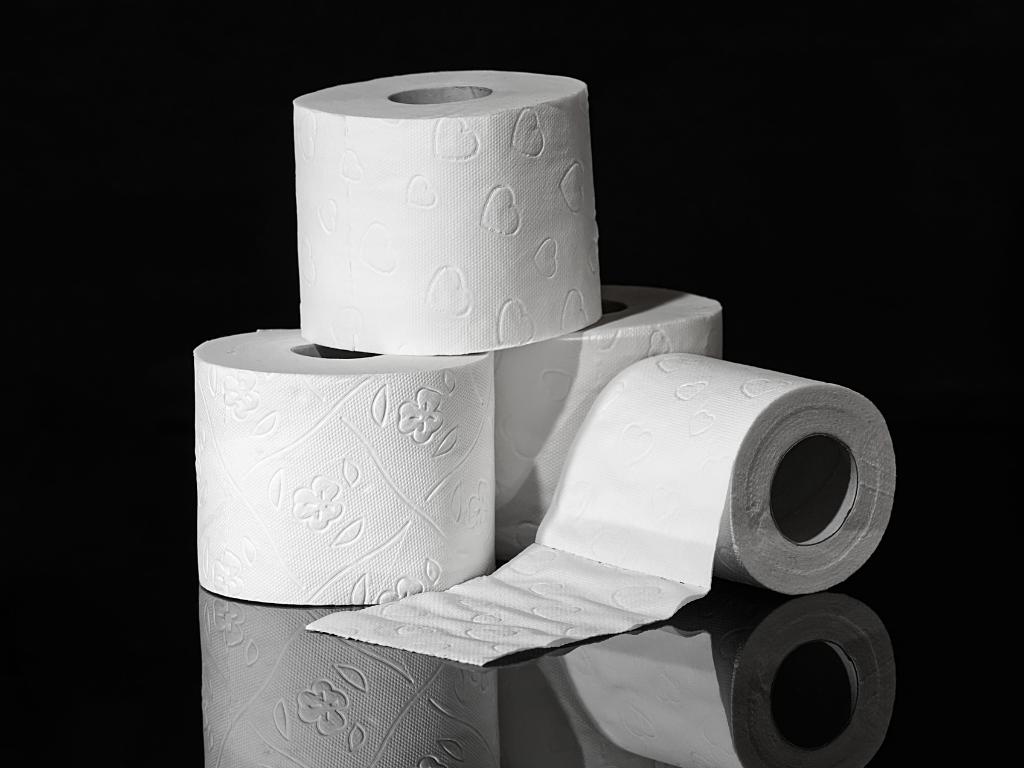 toilet-paper-3964492_1920